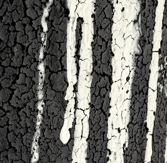 color off-white/dark brown dune